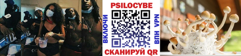 Галлюциногенные грибы GOLDEN TEACHER  Мезень 